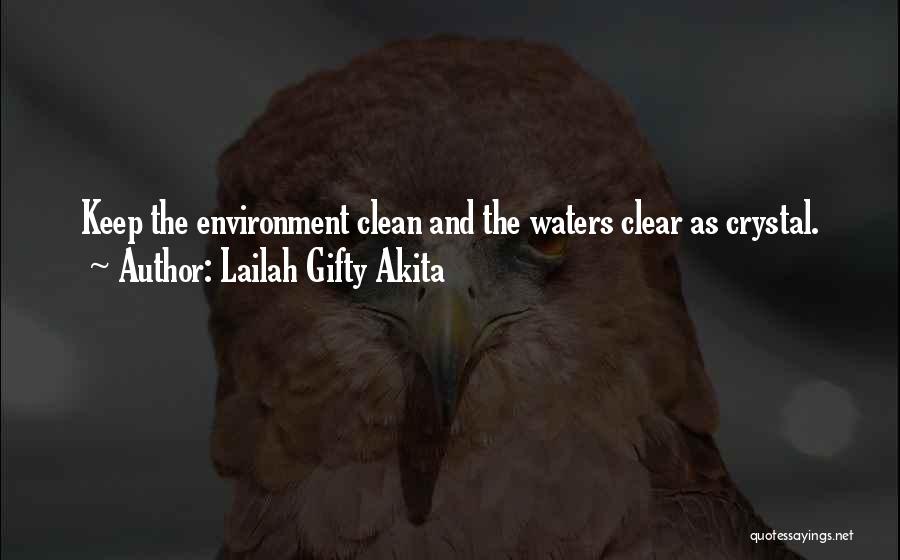 Lailah Gifty Akita Quotes: Keep The Environment Clean And The Waters Clear As Crystal.