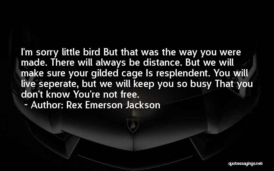 Rex Emerson Jackson Quotes: I'm Sorry Little Bird But That Was The Way You Were Made. There Will Always Be Distance. But We Will