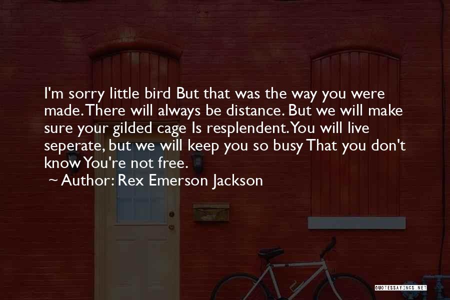 Rex Emerson Jackson Quotes: I'm Sorry Little Bird But That Was The Way You Were Made. There Will Always Be Distance. But We Will