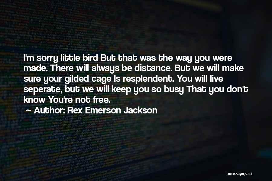 Rex Emerson Jackson Quotes: I'm Sorry Little Bird But That Was The Way You Were Made. There Will Always Be Distance. But We Will