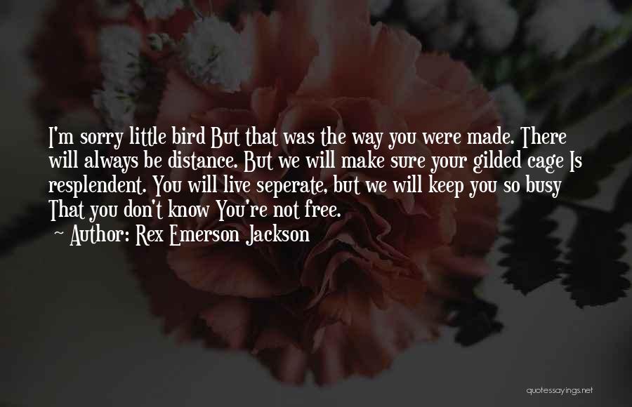 Rex Emerson Jackson Quotes: I'm Sorry Little Bird But That Was The Way You Were Made. There Will Always Be Distance. But We Will