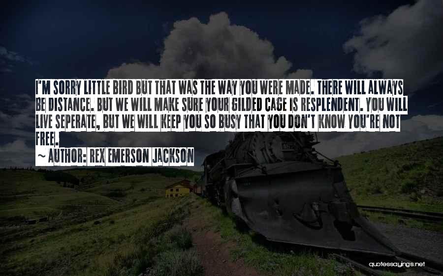 Rex Emerson Jackson Quotes: I'm Sorry Little Bird But That Was The Way You Were Made. There Will Always Be Distance. But We Will