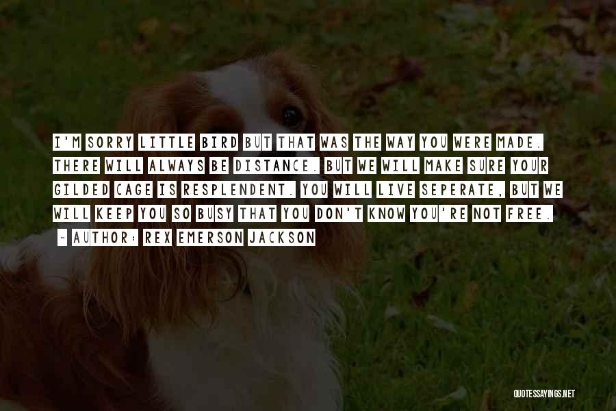 Rex Emerson Jackson Quotes: I'm Sorry Little Bird But That Was The Way You Were Made. There Will Always Be Distance. But We Will