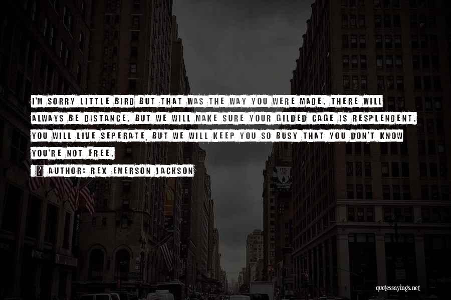 Rex Emerson Jackson Quotes: I'm Sorry Little Bird But That Was The Way You Were Made. There Will Always Be Distance. But We Will