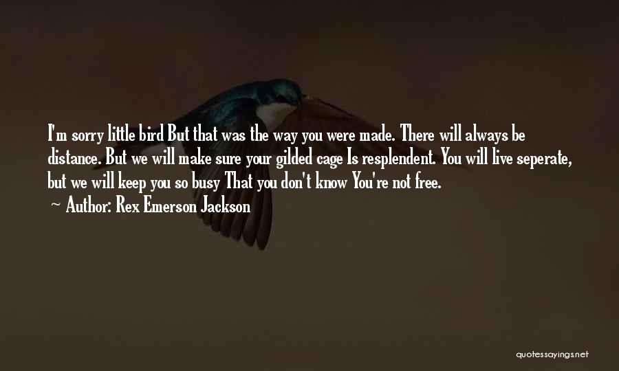 Rex Emerson Jackson Quotes: I'm Sorry Little Bird But That Was The Way You Were Made. There Will Always Be Distance. But We Will