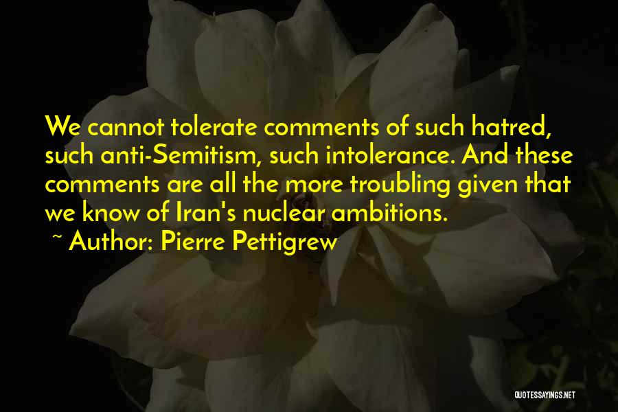Pierre Pettigrew Quotes: We Cannot Tolerate Comments Of Such Hatred, Such Anti-semitism, Such Intolerance. And These Comments Are All The More Troubling Given
