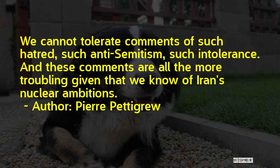 Pierre Pettigrew Quotes: We Cannot Tolerate Comments Of Such Hatred, Such Anti-semitism, Such Intolerance. And These Comments Are All The More Troubling Given