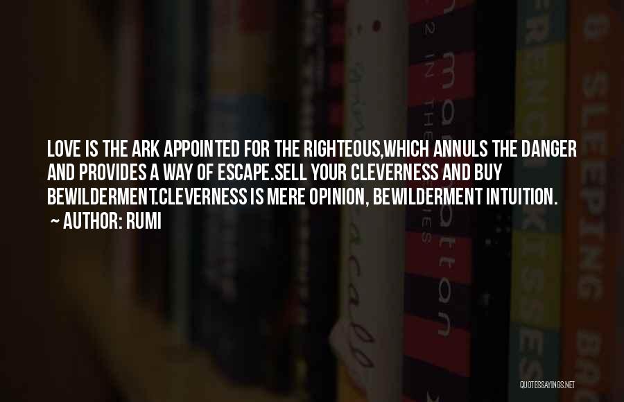 Rumi Quotes: Love Is The Ark Appointed For The Righteous,which Annuls The Danger And Provides A Way Of Escape.sell Your Cleverness And