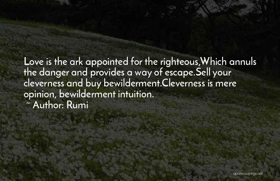 Rumi Quotes: Love Is The Ark Appointed For The Righteous,which Annuls The Danger And Provides A Way Of Escape.sell Your Cleverness And