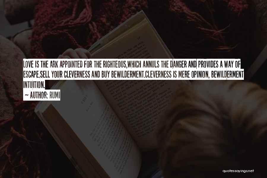 Rumi Quotes: Love Is The Ark Appointed For The Righteous,which Annuls The Danger And Provides A Way Of Escape.sell Your Cleverness And
