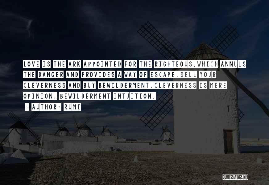 Rumi Quotes: Love Is The Ark Appointed For The Righteous,which Annuls The Danger And Provides A Way Of Escape.sell Your Cleverness And