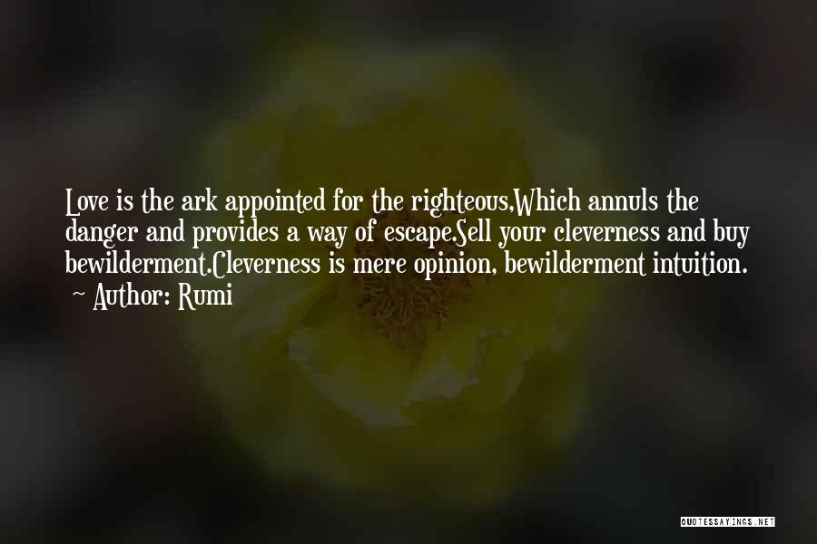 Rumi Quotes: Love Is The Ark Appointed For The Righteous,which Annuls The Danger And Provides A Way Of Escape.sell Your Cleverness And