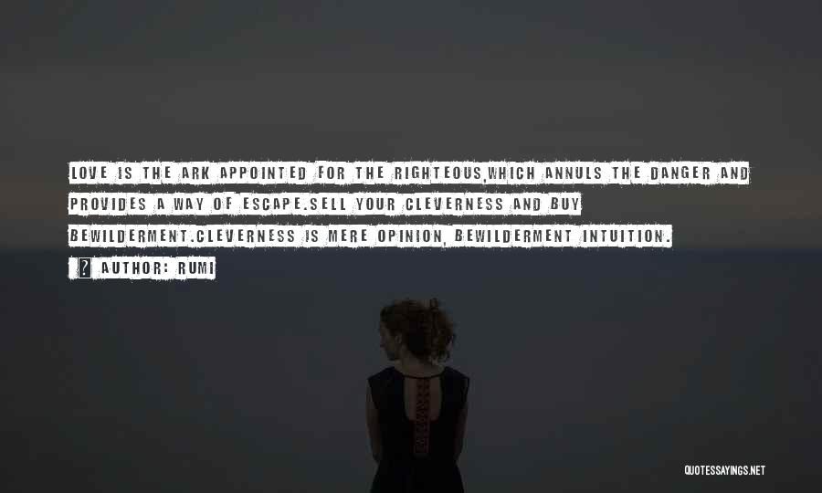 Rumi Quotes: Love Is The Ark Appointed For The Righteous,which Annuls The Danger And Provides A Way Of Escape.sell Your Cleverness And