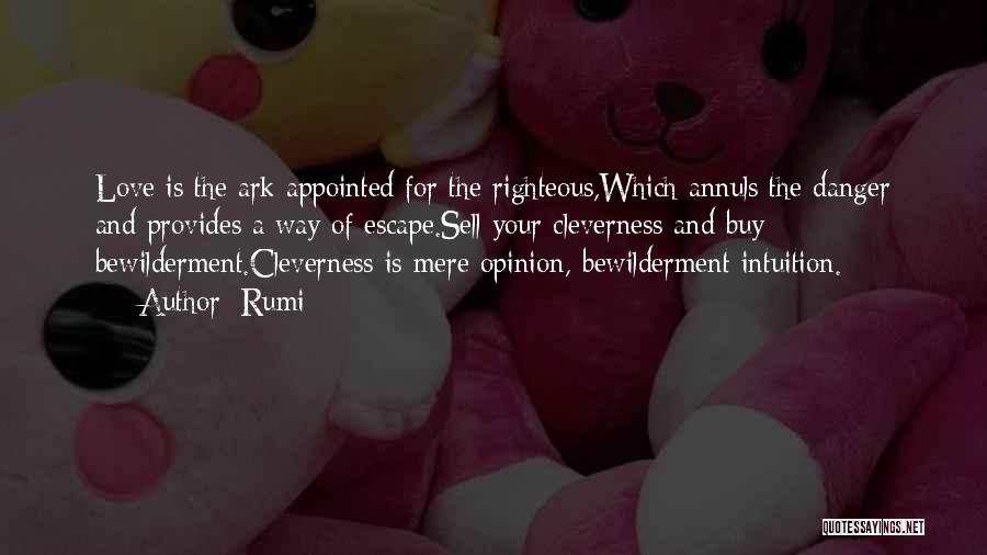 Rumi Quotes: Love Is The Ark Appointed For The Righteous,which Annuls The Danger And Provides A Way Of Escape.sell Your Cleverness And