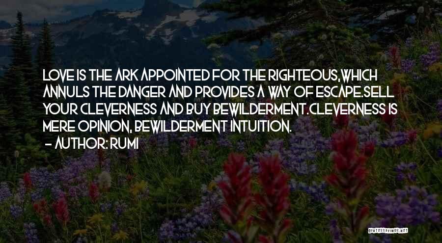 Rumi Quotes: Love Is The Ark Appointed For The Righteous,which Annuls The Danger And Provides A Way Of Escape.sell Your Cleverness And