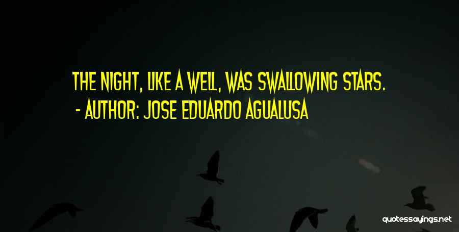 Jose Eduardo Agualusa Quotes: The Night, Like A Well, Was Swallowing Stars.