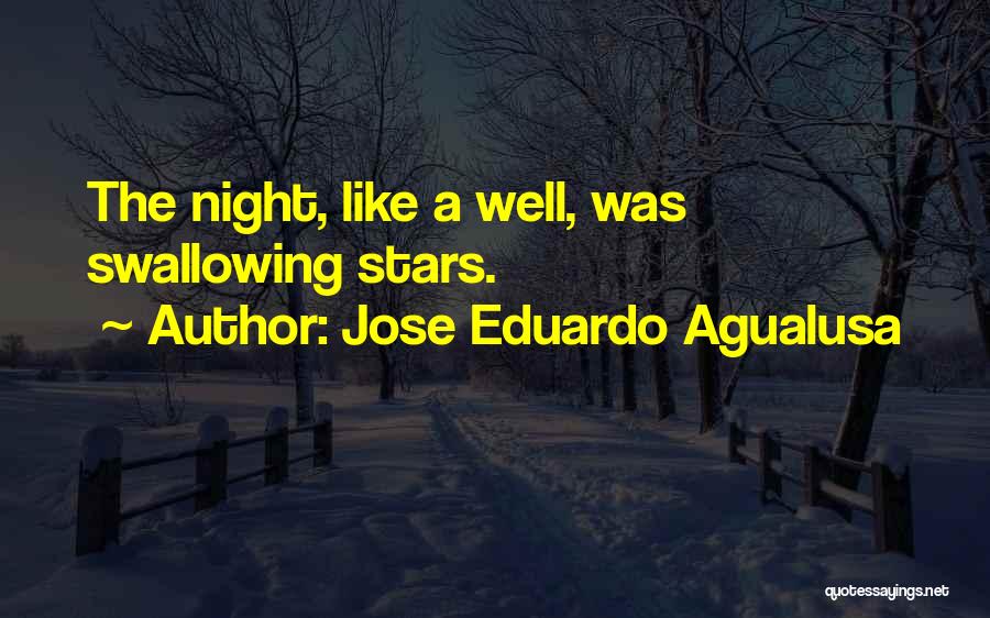 Jose Eduardo Agualusa Quotes: The Night, Like A Well, Was Swallowing Stars.