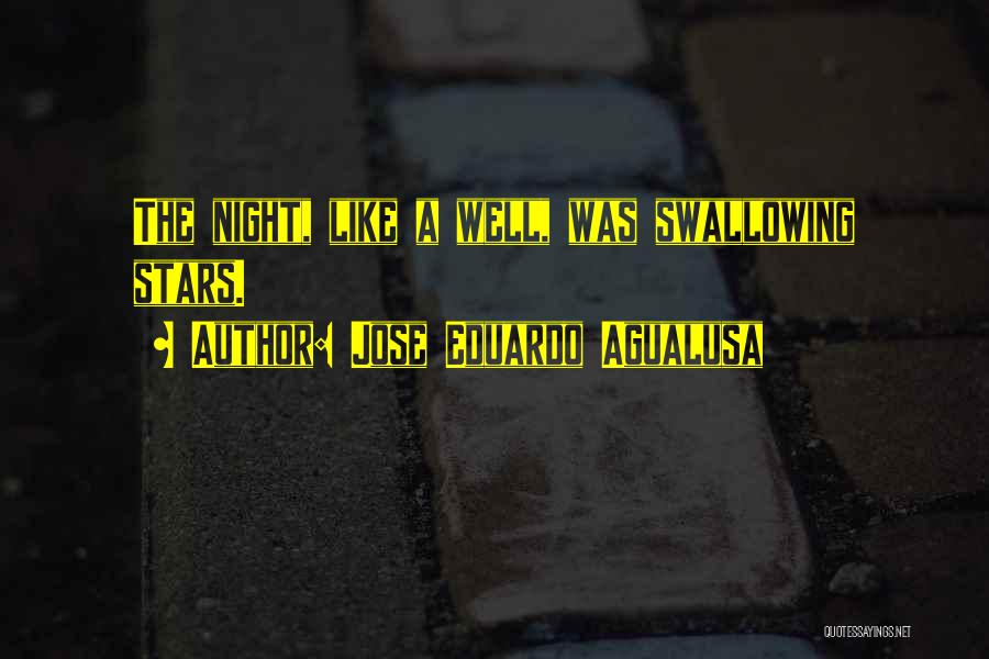 Jose Eduardo Agualusa Quotes: The Night, Like A Well, Was Swallowing Stars.