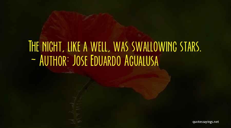 Jose Eduardo Agualusa Quotes: The Night, Like A Well, Was Swallowing Stars.