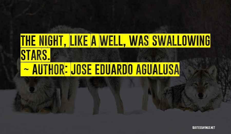 Jose Eduardo Agualusa Quotes: The Night, Like A Well, Was Swallowing Stars.