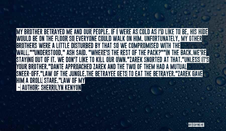 Sherrilyn Kenyon Quotes: My Brother Betrayed Me And Our People. If I Were As Cold As I'd Like To Be, His Hide Would