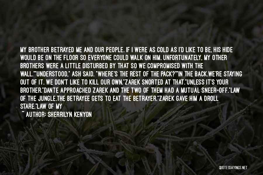 Sherrilyn Kenyon Quotes: My Brother Betrayed Me And Our People. If I Were As Cold As I'd Like To Be, His Hide Would