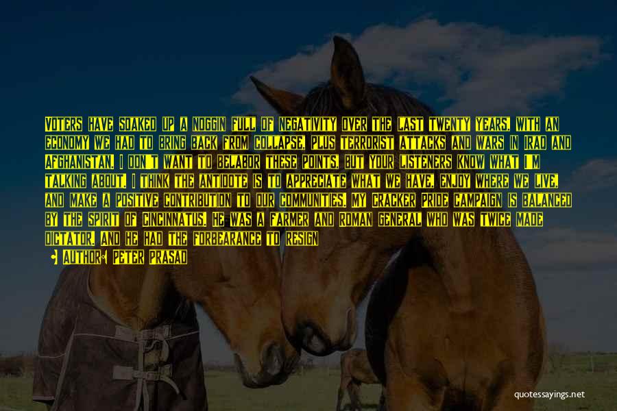 Peter Prasad Quotes: Voters Have Soaked Up A Noggin Full Of Negativity Over The Last Twenty Years, With An Economy We Had To