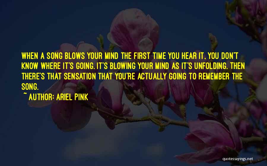 Ariel Pink Quotes: When A Song Blows Your Mind The First Time You Hear It, You Don't Know Where It's Going. It's Blowing