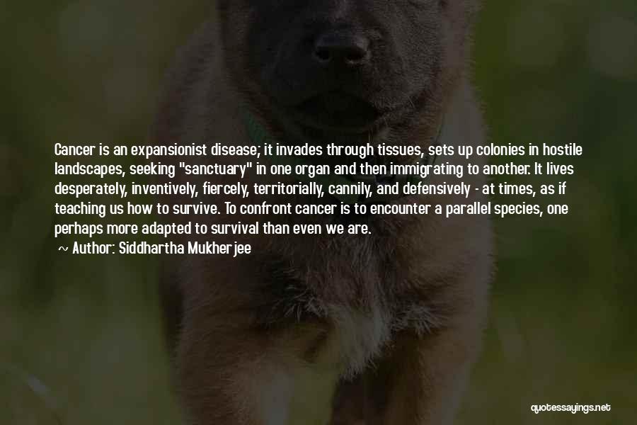 Siddhartha Mukherjee Quotes: Cancer Is An Expansionist Disease; It Invades Through Tissues, Sets Up Colonies In Hostile Landscapes, Seeking Sanctuary In One Organ