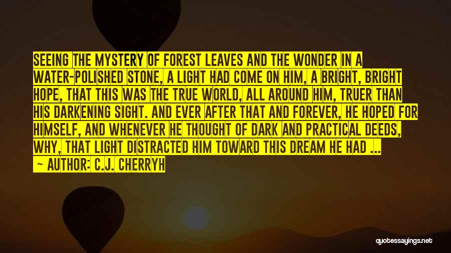C.J. Cherryh Quotes: Seeing The Mystery Of Forest Leaves And The Wonder In A Water-polished Stone, A Light Had Come On Him, A