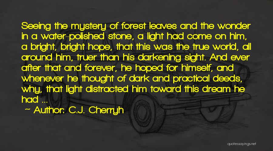 C.J. Cherryh Quotes: Seeing The Mystery Of Forest Leaves And The Wonder In A Water-polished Stone, A Light Had Come On Him, A