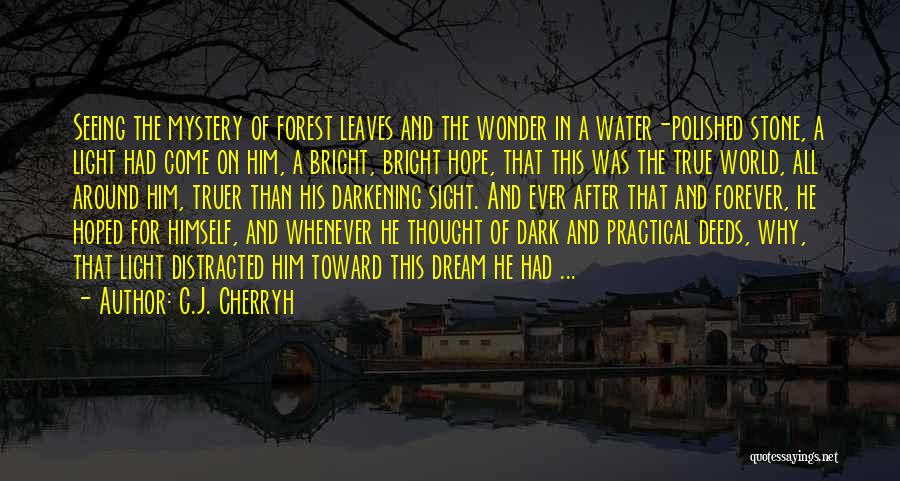 C.J. Cherryh Quotes: Seeing The Mystery Of Forest Leaves And The Wonder In A Water-polished Stone, A Light Had Come On Him, A