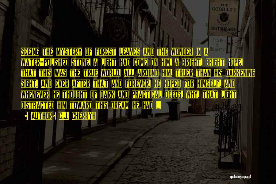 C.J. Cherryh Quotes: Seeing The Mystery Of Forest Leaves And The Wonder In A Water-polished Stone, A Light Had Come On Him, A