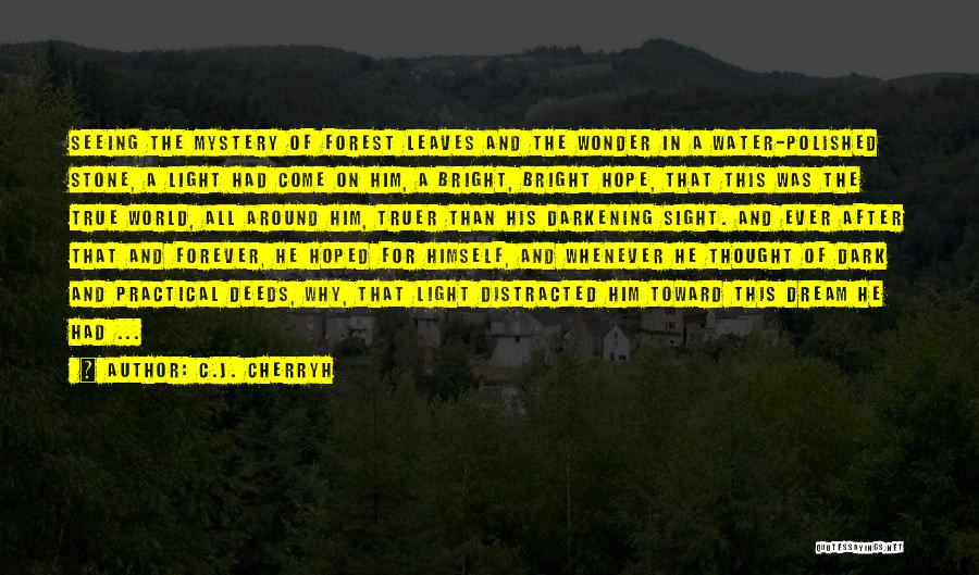 C.J. Cherryh Quotes: Seeing The Mystery Of Forest Leaves And The Wonder In A Water-polished Stone, A Light Had Come On Him, A