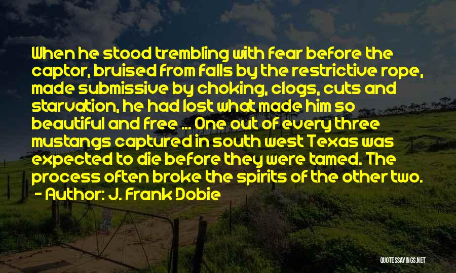 J. Frank Dobie Quotes: When He Stood Trembling With Fear Before The Captor, Bruised From Falls By The Restrictive Rope, Made Submissive By Choking,