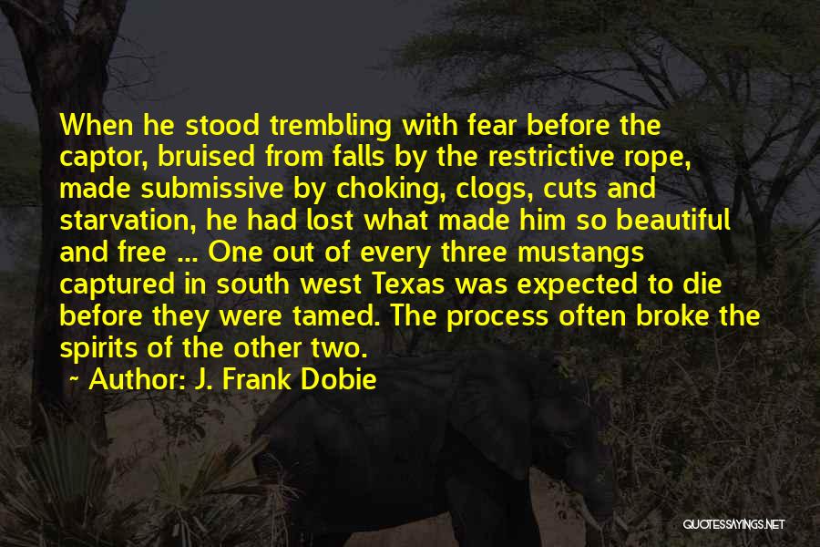 J. Frank Dobie Quotes: When He Stood Trembling With Fear Before The Captor, Bruised From Falls By The Restrictive Rope, Made Submissive By Choking,