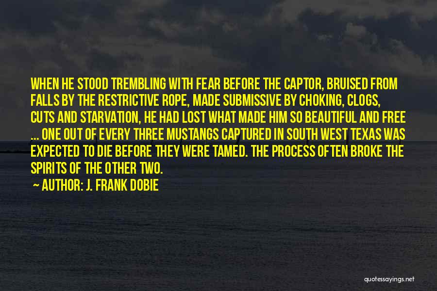 J. Frank Dobie Quotes: When He Stood Trembling With Fear Before The Captor, Bruised From Falls By The Restrictive Rope, Made Submissive By Choking,