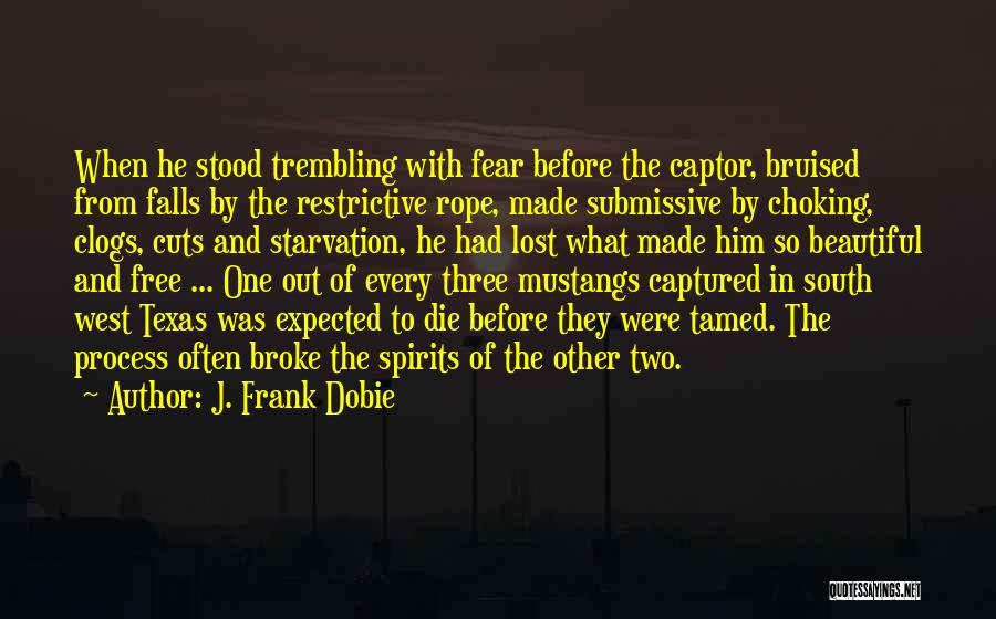 J. Frank Dobie Quotes: When He Stood Trembling With Fear Before The Captor, Bruised From Falls By The Restrictive Rope, Made Submissive By Choking,