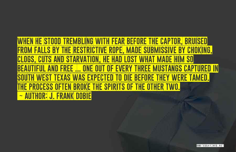 J. Frank Dobie Quotes: When He Stood Trembling With Fear Before The Captor, Bruised From Falls By The Restrictive Rope, Made Submissive By Choking,