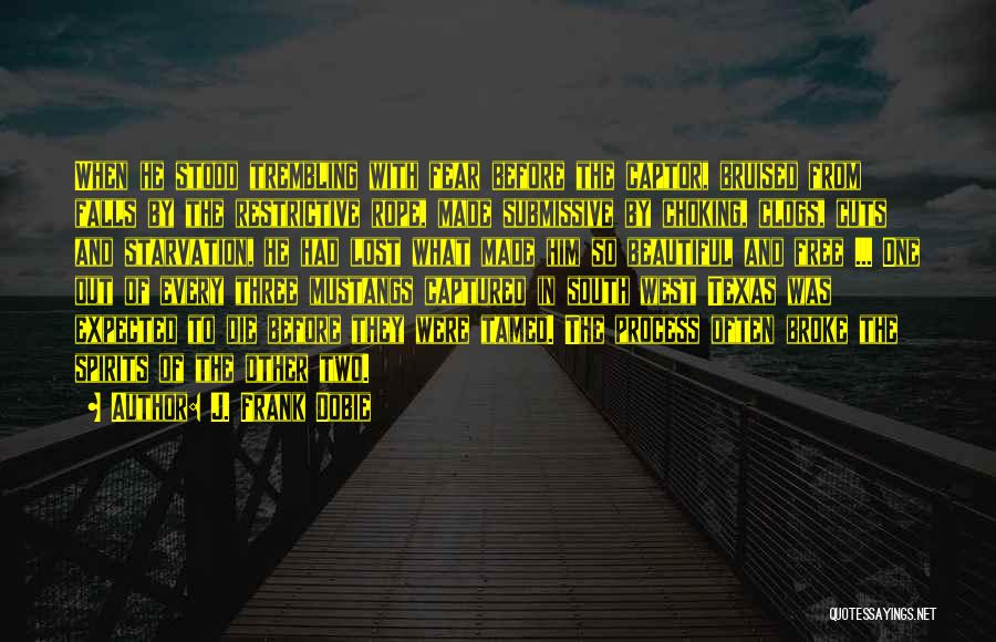 J. Frank Dobie Quotes: When He Stood Trembling With Fear Before The Captor, Bruised From Falls By The Restrictive Rope, Made Submissive By Choking,