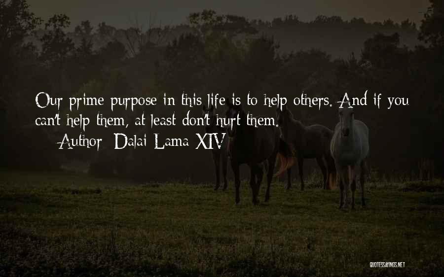 Dalai Lama XIV Quotes: Our Prime Purpose In This Life Is To Help Others. And If You Can't Help Them, At Least Don't Hurt