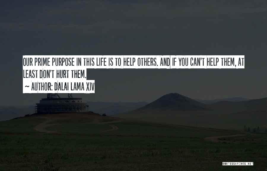 Dalai Lama XIV Quotes: Our Prime Purpose In This Life Is To Help Others. And If You Can't Help Them, At Least Don't Hurt