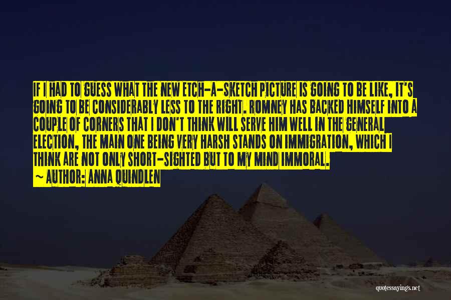Anna Quindlen Quotes: If I Had To Guess What The New Etch-a-sketch Picture Is Going To Be Like, It's Going To Be Considerably