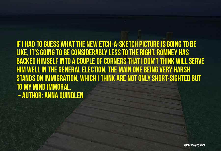 Anna Quindlen Quotes: If I Had To Guess What The New Etch-a-sketch Picture Is Going To Be Like, It's Going To Be Considerably