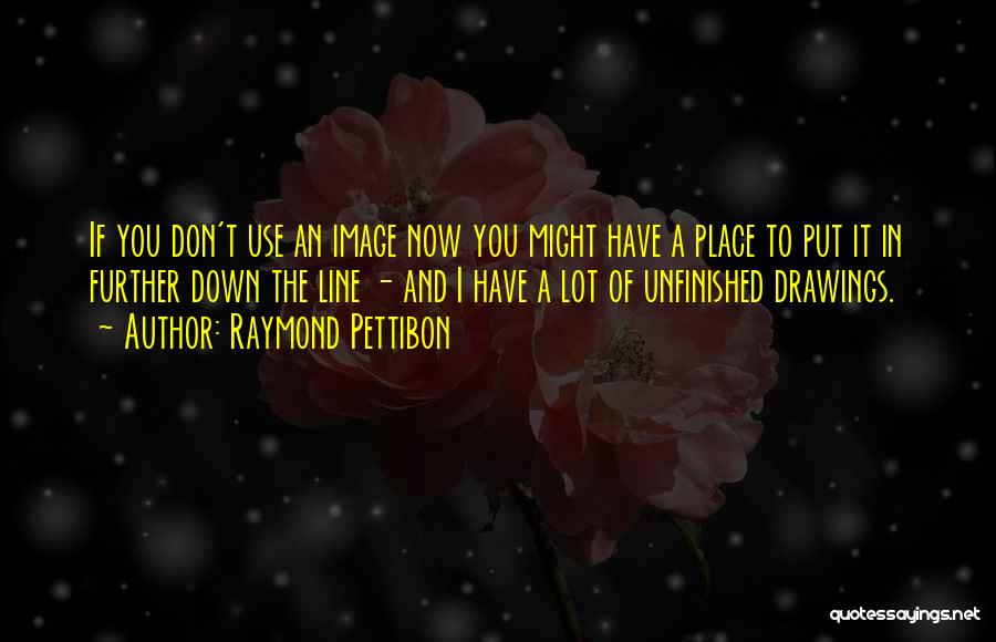 Raymond Pettibon Quotes: If You Don't Use An Image Now You Might Have A Place To Put It In Further Down The Line