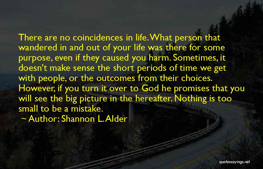 Shannon L. Alder Quotes: There Are No Coincidences In Life. What Person That Wandered In And Out Of Your Life Was There For Some