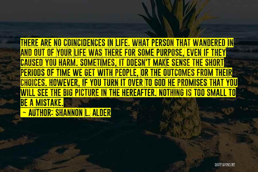 Shannon L. Alder Quotes: There Are No Coincidences In Life. What Person That Wandered In And Out Of Your Life Was There For Some