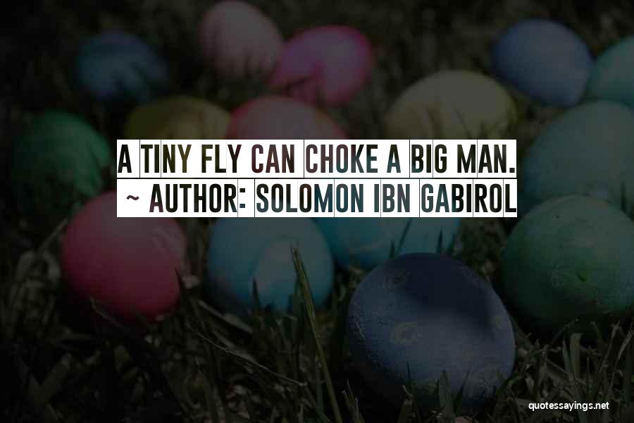 Solomon Ibn Gabirol Quotes: A Tiny Fly Can Choke A Big Man.