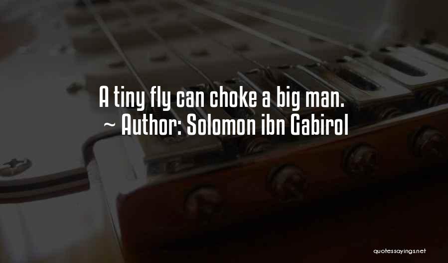 Solomon Ibn Gabirol Quotes: A Tiny Fly Can Choke A Big Man.