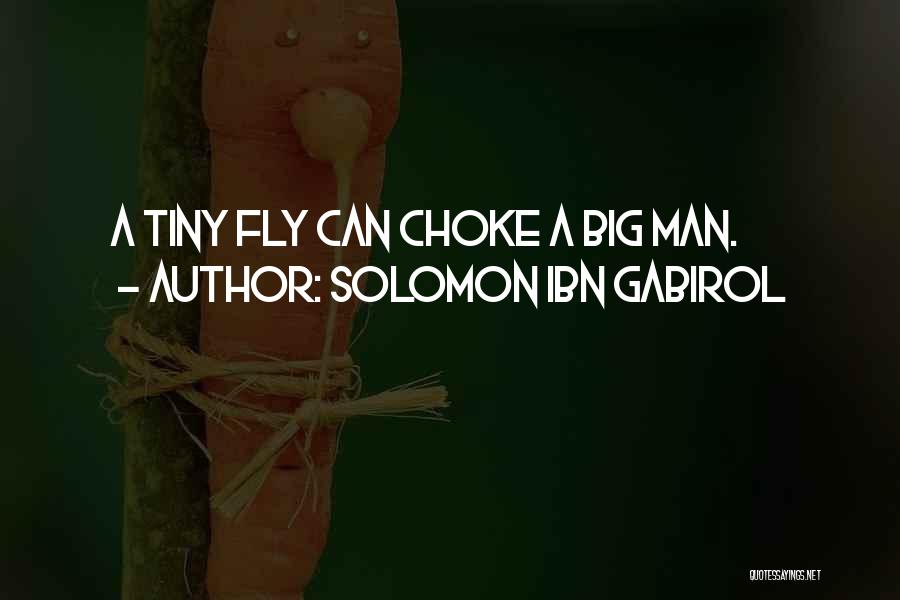 Solomon Ibn Gabirol Quotes: A Tiny Fly Can Choke A Big Man.
